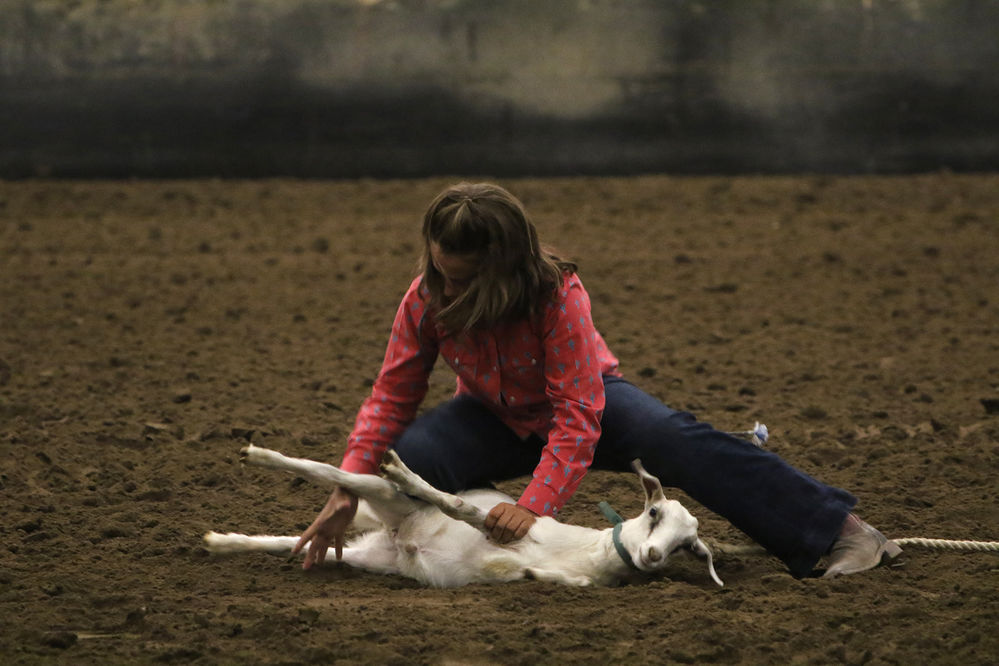 Youth Rodeo